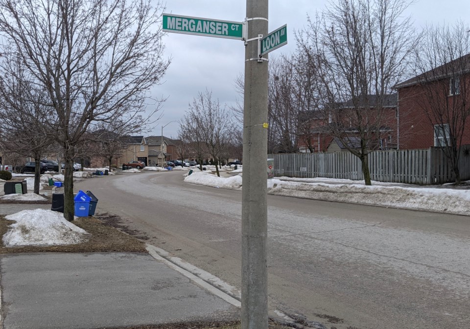 City road widths could get closer look to avoid 'same mistakes'